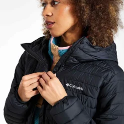 Columbia Silver Falls Hooded Insulated Jacket - Black 7 Columbia Silver Falls Hooded Insulated Jacket - Black -Default Template 3 Columbia Silver Falls Hooded Jacket 2034844010 Black 0014.small